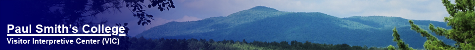 Paul Smiths VIC -- Saint Regis Mountain from the trail in front of the VIC building (23 June  2012)