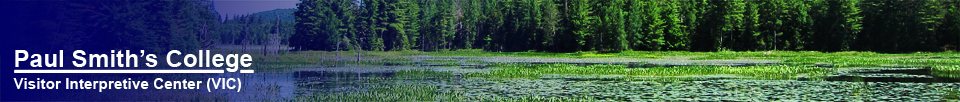 Paul Smiths Visitor Interpretive Center -- Heron Marsh (28 June 2012)