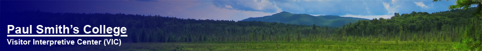 Paul Smith's College Visitor Interpretive Center -- Heron Marsh (10 July 2012)