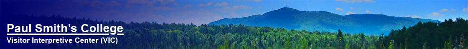 Paul Smiths Visitor Interpretive Center (VIC):  Saint Regis Mountain from the Barnum Brook Trail (21 July 2012)