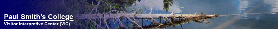 Adirondack Wetlands: Long Pond at the Paul Smiths VIC (16 August 2012)