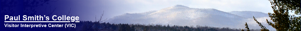 Saint Regis from the Logger's Loop Trail. Photo by R. Snyder.  Used by permission.