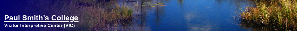 Paul Smith's College Visitor Interpretive Center -- View from the Boreal Life Trail board walk