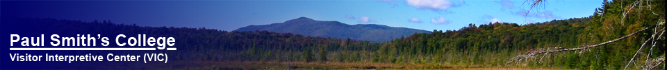 Paul Smiths Visitor Interpretive Center (VIC) -- Saint Regis Mountain from the Barnum Brook Trail