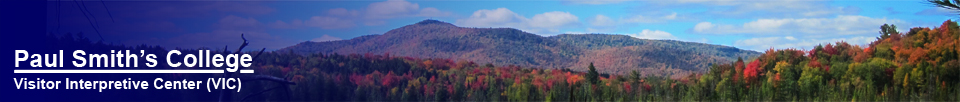 Paul Smiths VIC: St. Regis Mountain from the Barnum Brook Trail (27 September 2012)