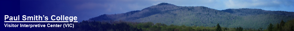 Saint Regis Mountain from the Barnum Brook Trail (16 May 2012)