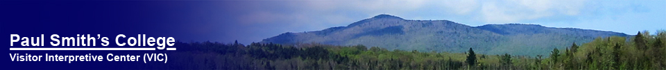 Saint Regis Mountain from the Barnum Brook Trail (16 May 2012)