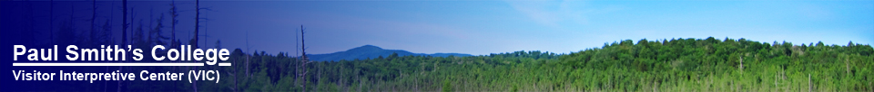 Paul Smith's College Visitor Interpretive Center -- St Regis Mountain from the Boreal Life Trail