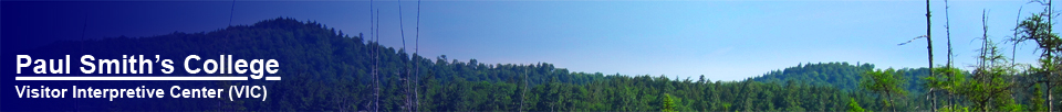 Paul Smith's College Visitor Interpretive Center -- View from the Barnum Pond Overlook on the Boreal Life Trail