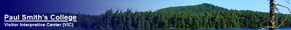 Paul Smith's College Visitor Interpretive Center -- View from the Boreal Life Trail