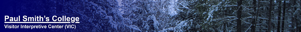 Trees in winter (28 December 2012).  Photo courtesy of D. Kirche.  Used by permission.