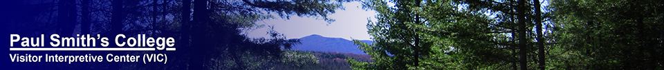 Saint Regis Mountain from the Logger's Loop Trail (10 May 2011)