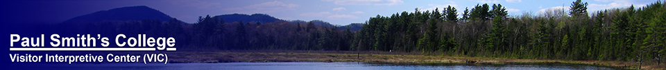 Heron Marsh at the Paul Smiths VIC. 8 May 2006.