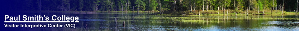 Adirondack Wetlands: Heron Marsh (20 May 2012)