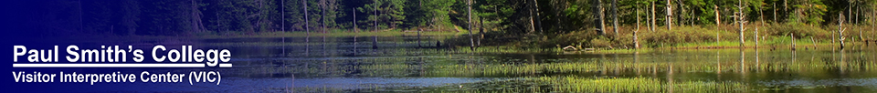 Adirondack Wetlands:  Heron Marsh at the Paul Smiths VIC (20 May 2012)