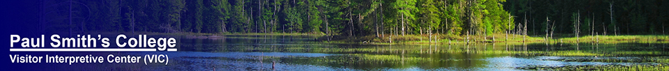 Heron Marsh at the Paul Smiths VIC (20 May 2012)