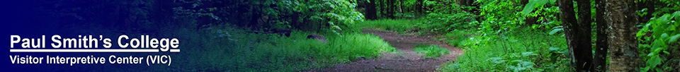 Forest Ecosystem Research and Demonstration Area at the Paul Smiths VIC (23 May 2012)