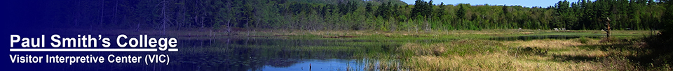 Heron Marsh at the Paul Smiths VIC (19 May 2012)