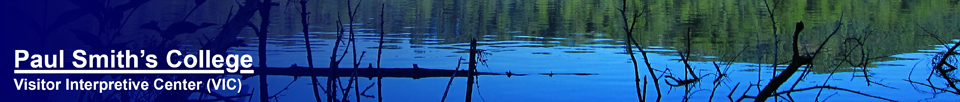 Black Pond from the Black Pond Trail at the Paul Smiths VIC (20 July 2012)