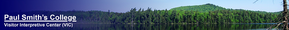 Adirondack Habitats: Barnum Pond at the Paul Smiths VIC (26 May 2012)