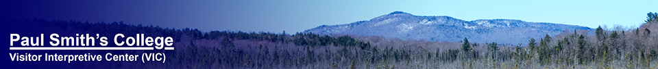 Saint Regis Mountain from the Barnum Brook Trail (23 April 2013)