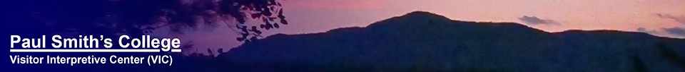 Saint Regis Mountain in the evening (17 August 2012)