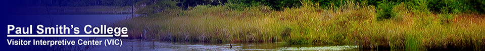 Long Pond from the Long Pond Trail (27 September 2012)