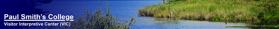 Adirondack Wetlands: Long Pond at the Paul Smiths VIC (16 August 2012)