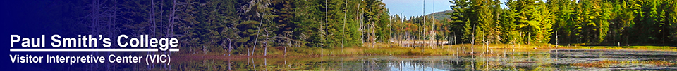 Heron Marsh from Shingle Mill Falls (27 September 2004)