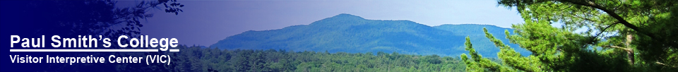 Paul Smiths Visitor Center --  St Regis Mountain from Heron Marsh