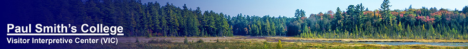 Adirondack Wetlands: Heron Marsh from the Barnum Brook Trail (20 September 2013)