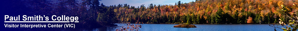 Black Pond at the Paul Smiths visitor center (3 October 2013)