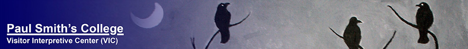 Caw-ling. Detail from a painting by Arnold Sauther.