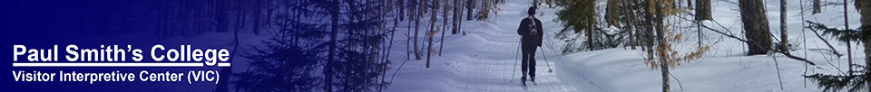 Spring skiing at the Paul Smiths VIC.  Photo by Tom Boothe.  Used by permission.