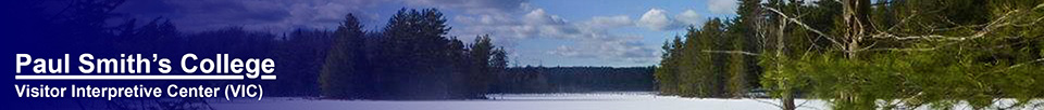 Heron Marsh (26 March 2013). Photo by Tom Boothe.  Used by permission.