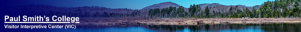 Adirondack Wetlands: Heron Marsh at the Paul Smiths VIC (23 April 2013)