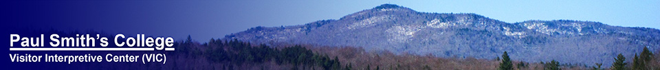 Saint Regis Mountain from the Barnum Brook Trail (23 April 2013)