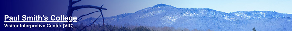 Saint Regis Mountain from the Barnum Brook Trail (23 April 2013)