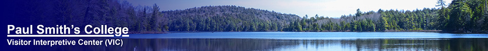 Adirondack Habitats:  Black Pond from the Black Pond Trail (28 April 2013)
