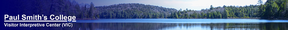 Black Pond from the Black Pond Trail at the Paul Smiths VIC (28 April 2013)