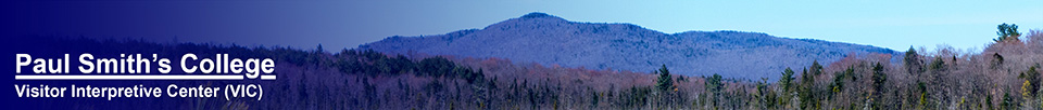 Saint Regis Mountain from the Barnum Brook Trail at the Paul Smiths VIC (8 May 2014)