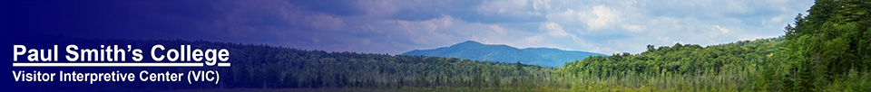 Adirondack Wetlands: Heron Marsh and Saint Regis Mountain (26 July 2014)