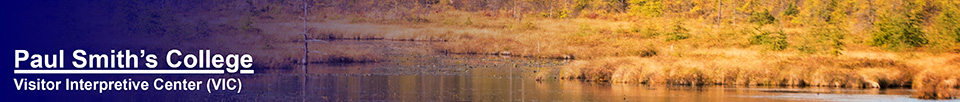 Adirondack Wetlands: Heron Marsh at the Paul Smiths VIC (6 October 2014)