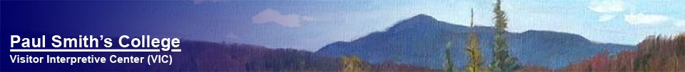 From Sandra Hildreth's painting of Saint Regis Mountain and Heron Marsh