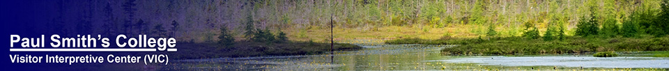 Adirondack Wetlands: Heron Marsh from the Heron Marsh Trail Tower (10 June 2015)