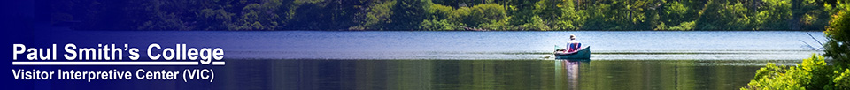 Adirondack Habitats: Fisherman on Black Pond (10 June 2015)