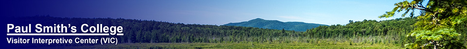 Adirondack Wetlands: Heron Marsh and Saint Regis Mountain from the Barnum Brook Trail at the Paul Smiths VIC (20 June 2015)