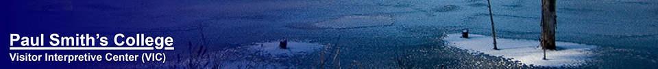 Adirondack Wetlands: Heron Marsh at the Paul Smiths VIC.  Photo by Ed Murphy.  Used by permission. 18 November 2007.