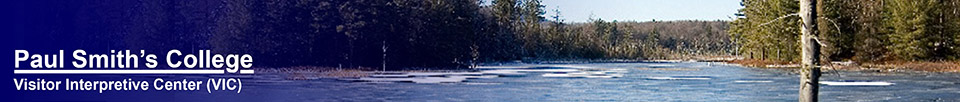 Adirondack Wetlands: Heron Marsh at the Paul Smiths VIC.  Photo by Ed Murphy.  Used by permission. 18 November 2007.