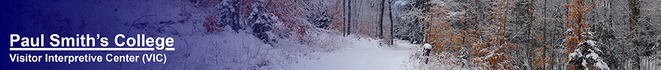 Loggers Loop Trail in Winter.  Photo by Sandra Hildreth.  Used by permission.